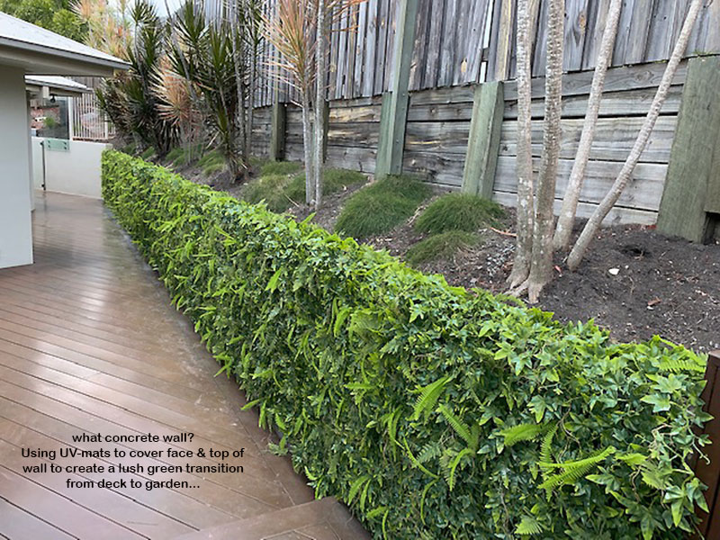 Turning an unsightly block wall into a green Feature...
