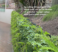 Turning an unsightly block wall into a green Feature...