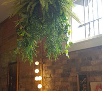 Extreme make-over of inner-city heritage Venue requires 'green-edges'!