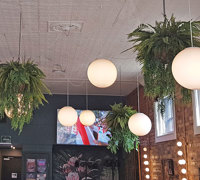 Extreme make-over of inner-city heritage Venue requires 'green-edges'!