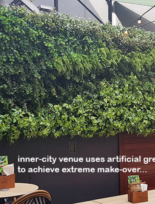 Extreme make-over of inner-city heritage Venue requires 'green-edges'!