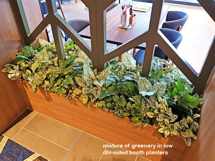 Finishing 'Green-Touches' for Tavern renovation