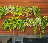 Finishing 'Green-Touches' for Tavern renovation