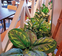 Finishing 'Green-Touches' for Tavern renovation