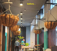 New Cuban Nite-Club also has a green theme...