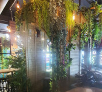 New Cuban Nite-Club also has a green theme...