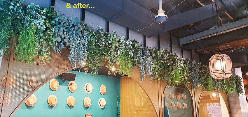 New Cuban Nite-Club also has a green theme...