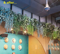 New Cuban Nite-Club also has a green theme...