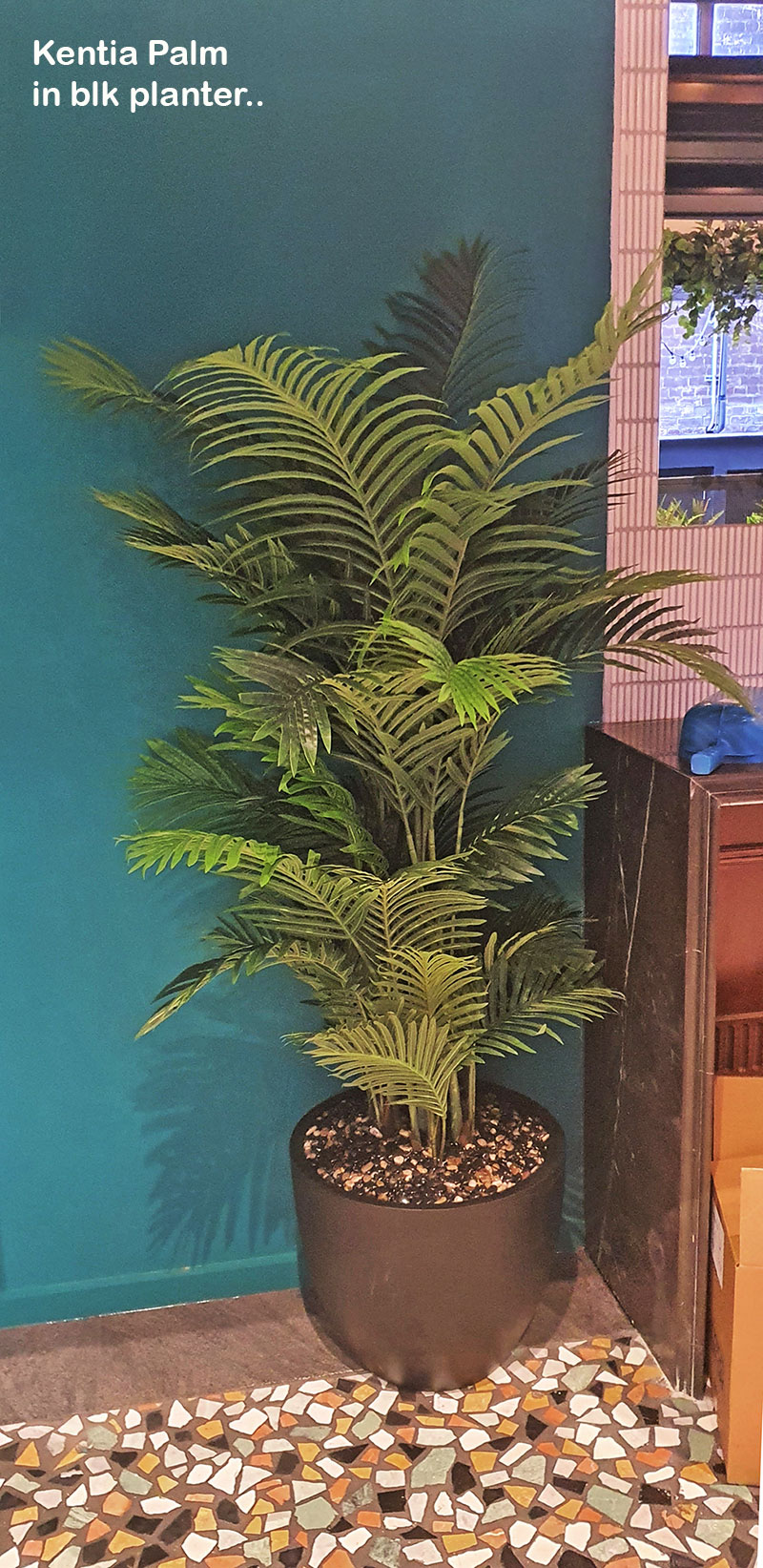 New Cuban Nite-Club also has a green theme...