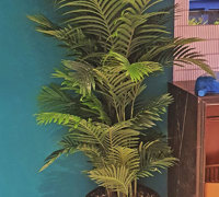 New Cuban Nite-Club also has a green theme...