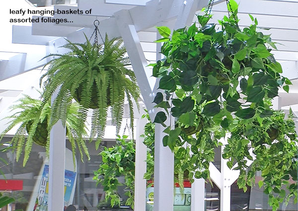 Cafe in Mall is a green oasis...