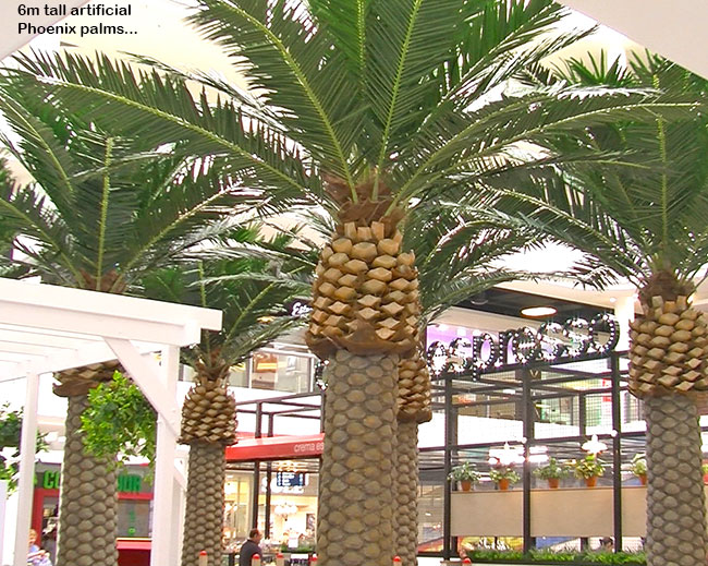 Cafe in Mall is a green oasis...