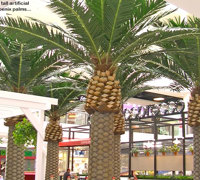 Cafe in Mall is a green oasis...