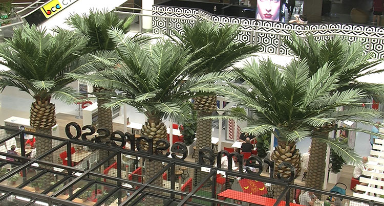 Cafe in Mall is a green oasis...