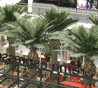 Cafe in Mall is a green oasis...