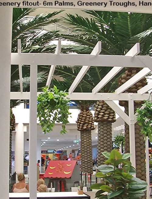 Cafe in Mall is a green oasis...