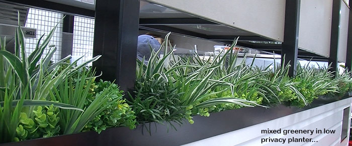 Cafe in Mall is a green oasis...