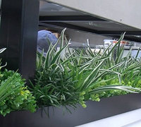 Cafe in Mall is a green oasis...