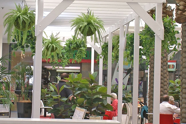 Cafe in Mall is a green oasis...