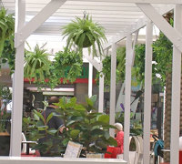 Cafe in Mall is a green oasis...