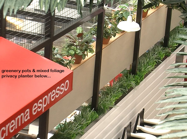 Cafe in Mall is a green oasis...