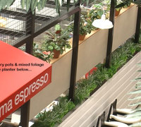 Cafe in Mall is a green oasis...