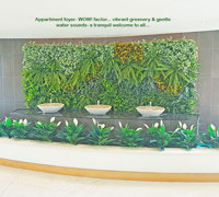 Before & After Shots..... Green-Walls 1