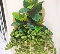 Entry Planters get a revamp...