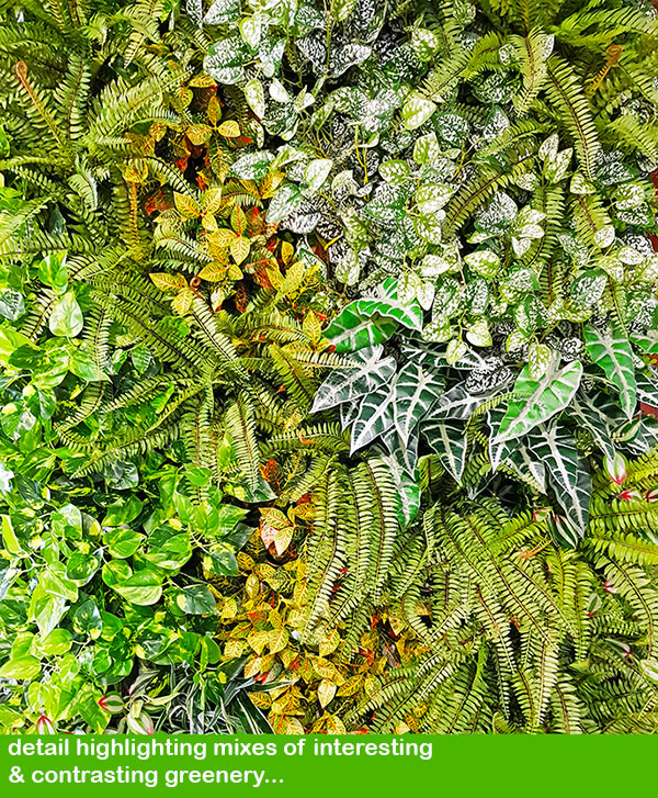 Artificial Green Wall for modern open-plan office...