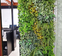 Artificial Green Wall for modern open-plan office...