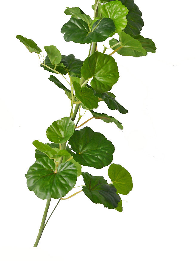 Trailing Vines - 1.8m Geranium Garland