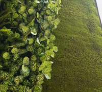 Moss/Green-Wall fusion is the latest direction...