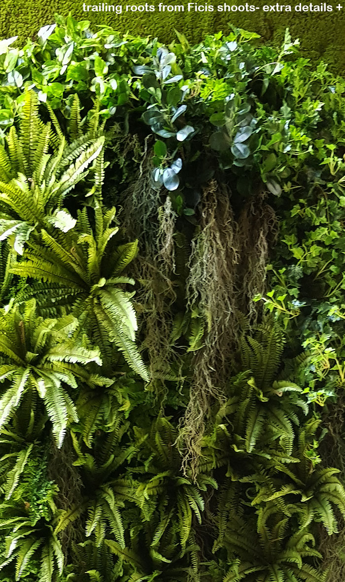 Moss/Green-Wall fusion is the latest direction...