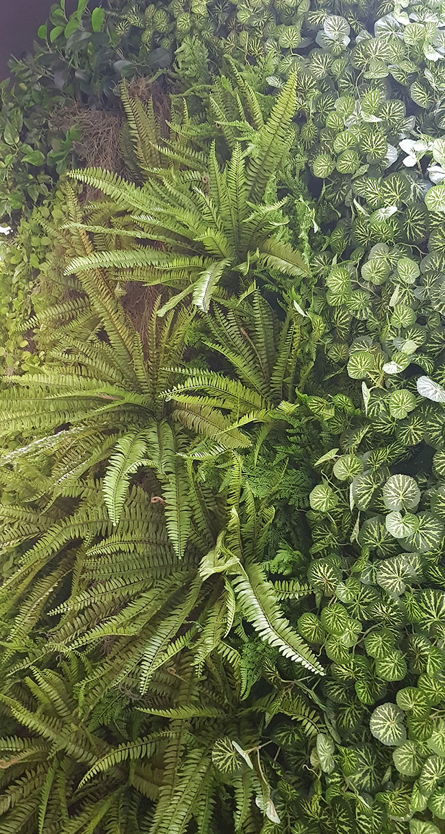 Moss/Green-Wall fusion is the latest direction...