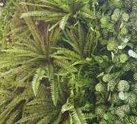 Moss/Green-Wall fusion is the latest direction...