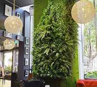 Moss/Green-Wall fusion is the latest direction...