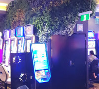 Flowing Green-Wall design for Gaming Rooms...