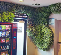 Flowing Green-Wall design for Gaming Rooms...