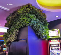 Flowing Green-Wall design for Gaming Rooms...