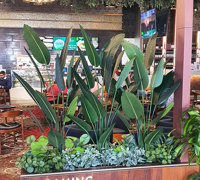 New extensions at large Club feature lush greenery...