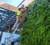Artificial Green Wall flows seamlessly from outdoors into club foyer