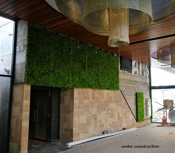 Artificial Green Wall flows seamlessly from outdoors into club foyer