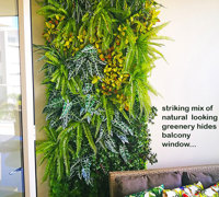 Artificial Green Wall to hide an unwanted balcony window...
