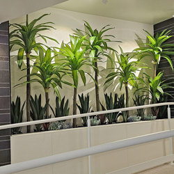 Happy Plant 1.9m triple - artificial plants, flowers & trees - image 5