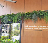 Breezy 'green-curtain' for popular Cafe...
