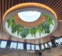 Impressive Tavern Refurb using Artificial Greenery overhead effectively...