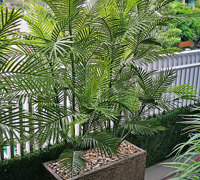 Green balcony privacy screen with UV-treated palms