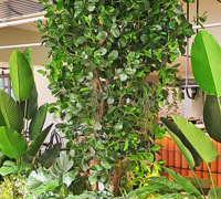 Green-Style finishes off stunning Club extension...