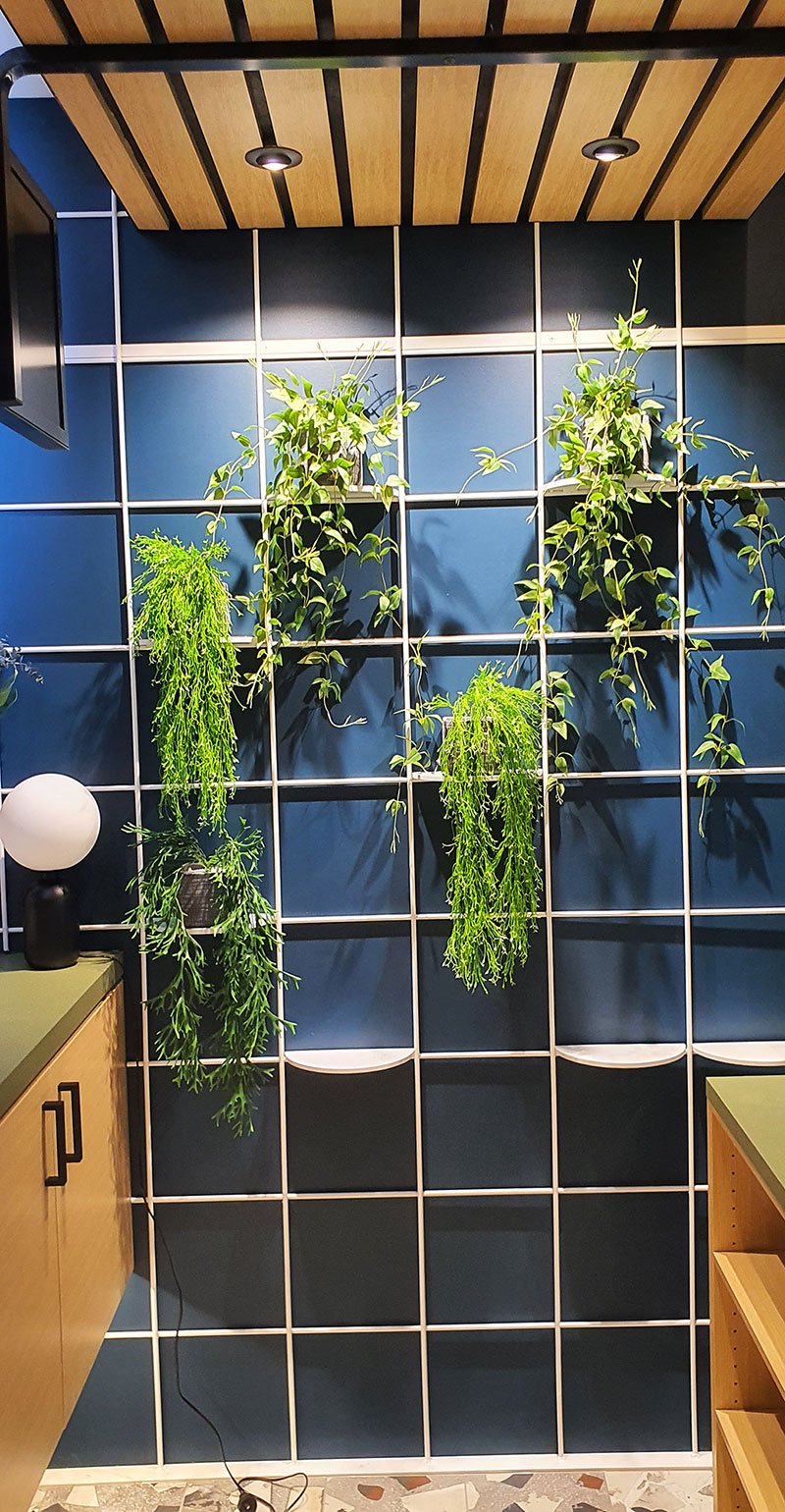 Green-Style finishes off stunning Club extension...