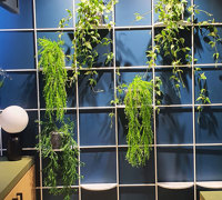 Green-Style finishes off stunning Club extension...